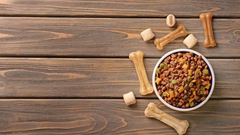 Best Dog Food in India – Makes Your Dog Healthy & Strong
