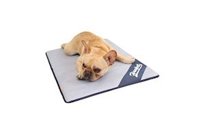 DORA BRIDAL Pets Cooling Dog Bed