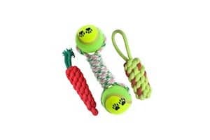 Pet Needs Combo of 3 Small Puppy Toys