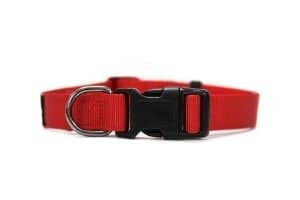 Heads Up for Tails Dog Collar