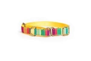 PetWale Colourful Stripes Dog Collar