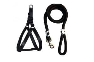 Skora Nylon Padded Dog Harness